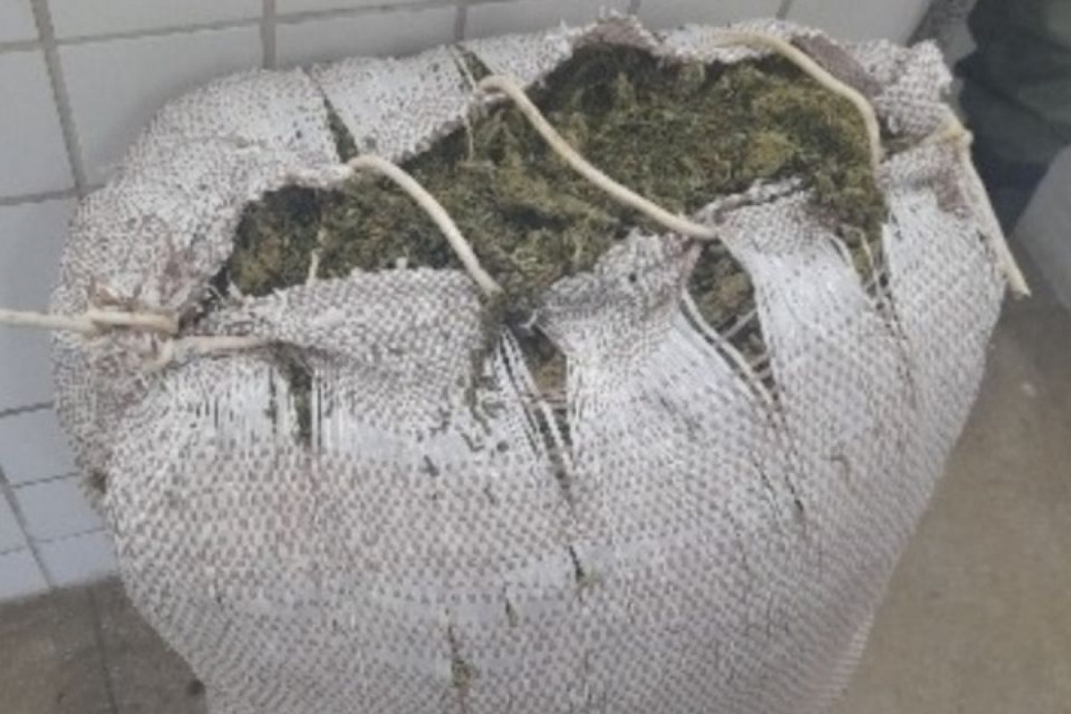 Nenhum suspeito foi localizado junto às drogas/PMPE/divulgação Nenhum suspeito foi localizado junto às drogas/PMPE/divulgação