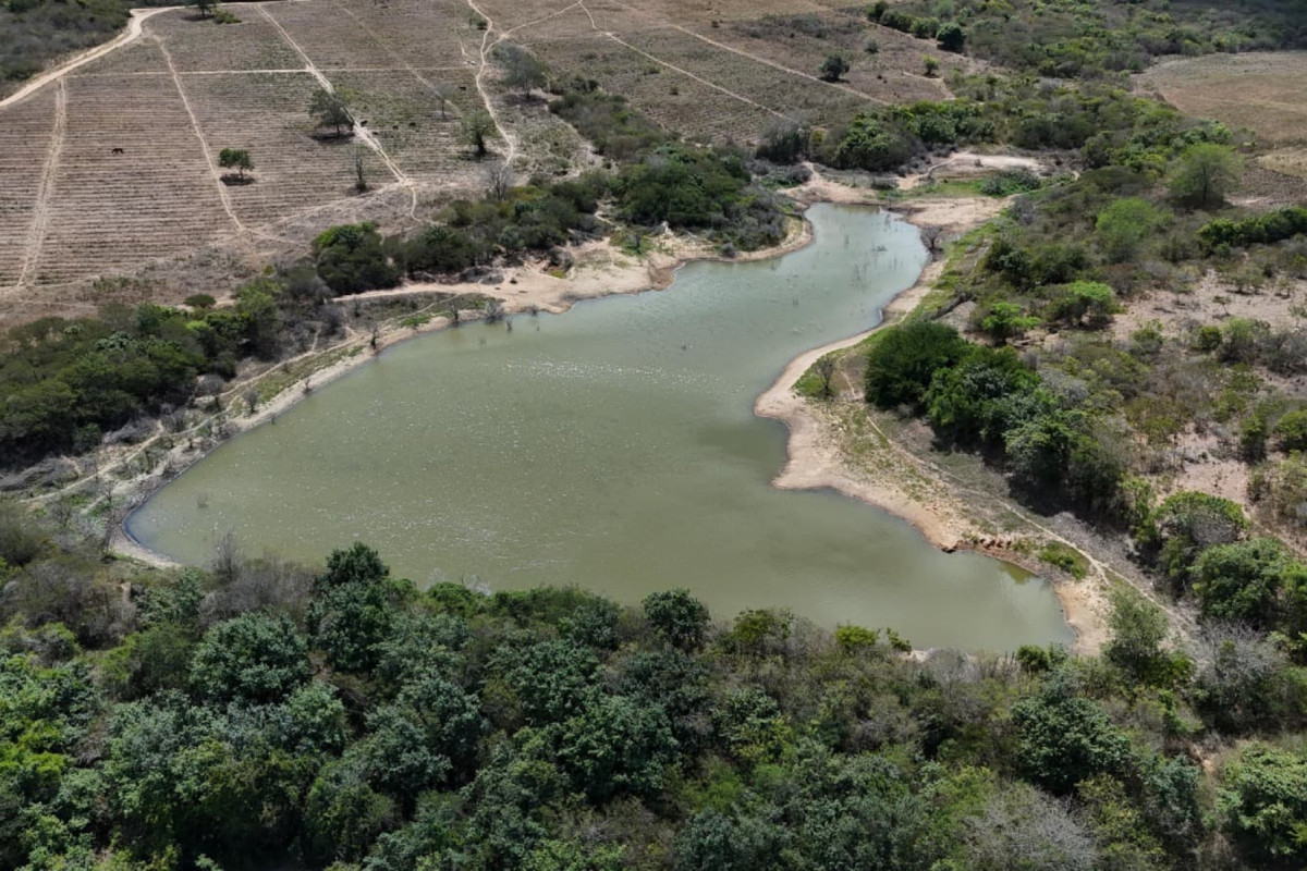 A operação foi realizada por cinco dias em diferentes bairros da cidade/Foto: Compesa A operação foi realizada por cinco dias em diferentes bairros da cidade/Foto: Compesa