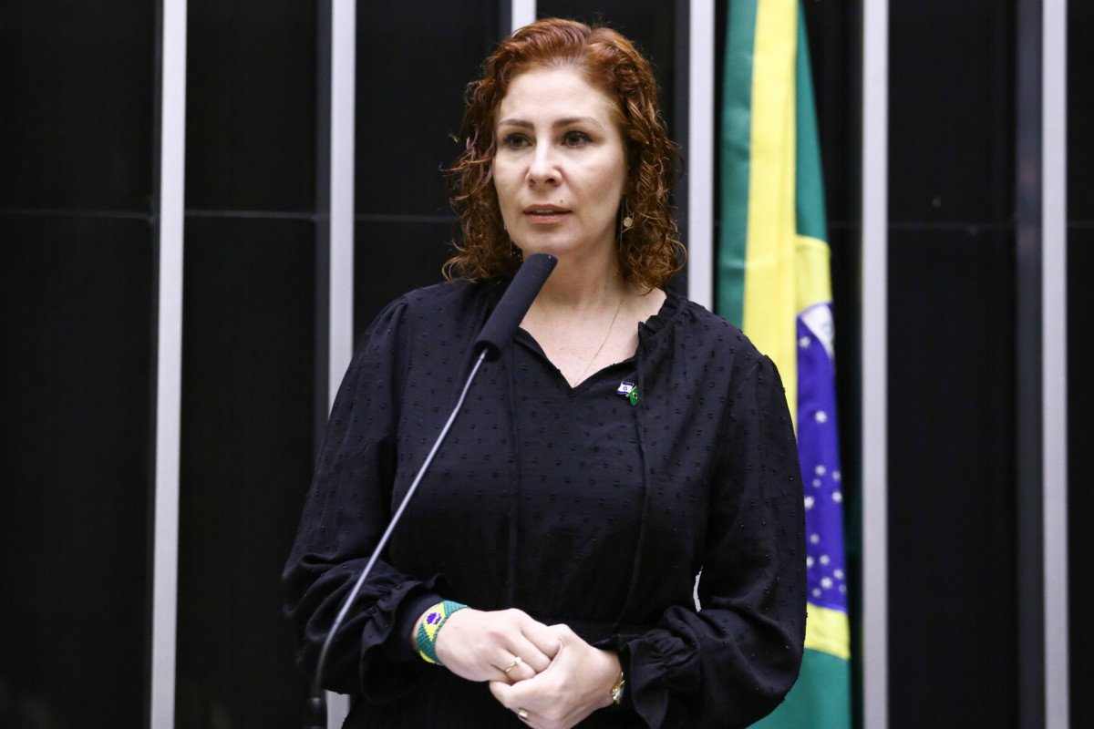 Solene em Homenagem à Data Nacional da Criação do Estado de Israel. Dep. Carla Zambelli (PL-SP)