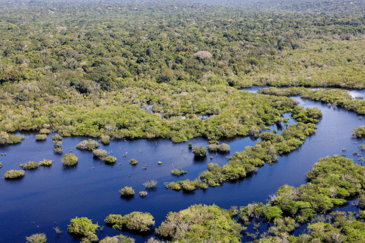 Na comparação com 2023, a redução foi de 32,4% na área desmatada/Foto: FABIO RODRIGUES-POZZEBOM/AGÊNCIA BRASIL Na comparação com 2023, a redução foi de 32,4% na área desmatada/Foto: FABIO RODRIGUES-POZZEBOM/AGÊNCIA BRASIL