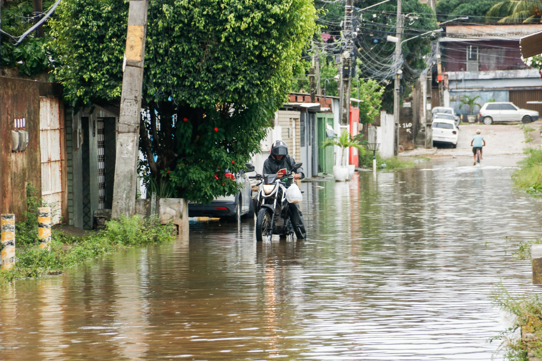 Foto: Marina Torres/DP Foto