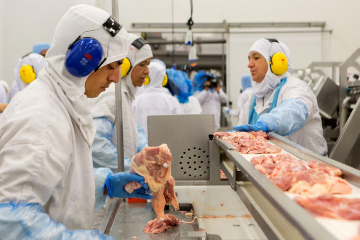 O Brasil é o maior exportador de carne de frango do mundo/Rodrigo Fonseca/AFP O Brasil é o maior exportador de carne de frango do mundo/Rodrigo Fonseca/AFP