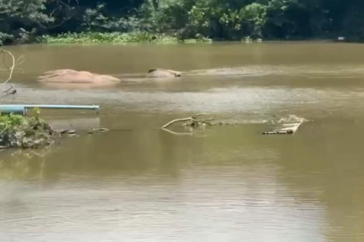 Draga Posicionada no Rio Una/Divulgação/PCPE Draga Posicionada no Rio Una/Divulgação/PCPE