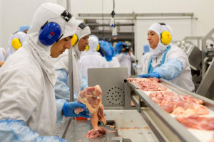 O Brasil é o maior exportador de carne de frango do mundo