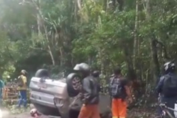 Carro capotou, derrubou árvore e homem ficou ferido /Redes Sociais Carro capotou, derrubou árvore e homem ficou ferido /Redes Sociais
