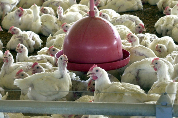 Foto: Agência Brasil