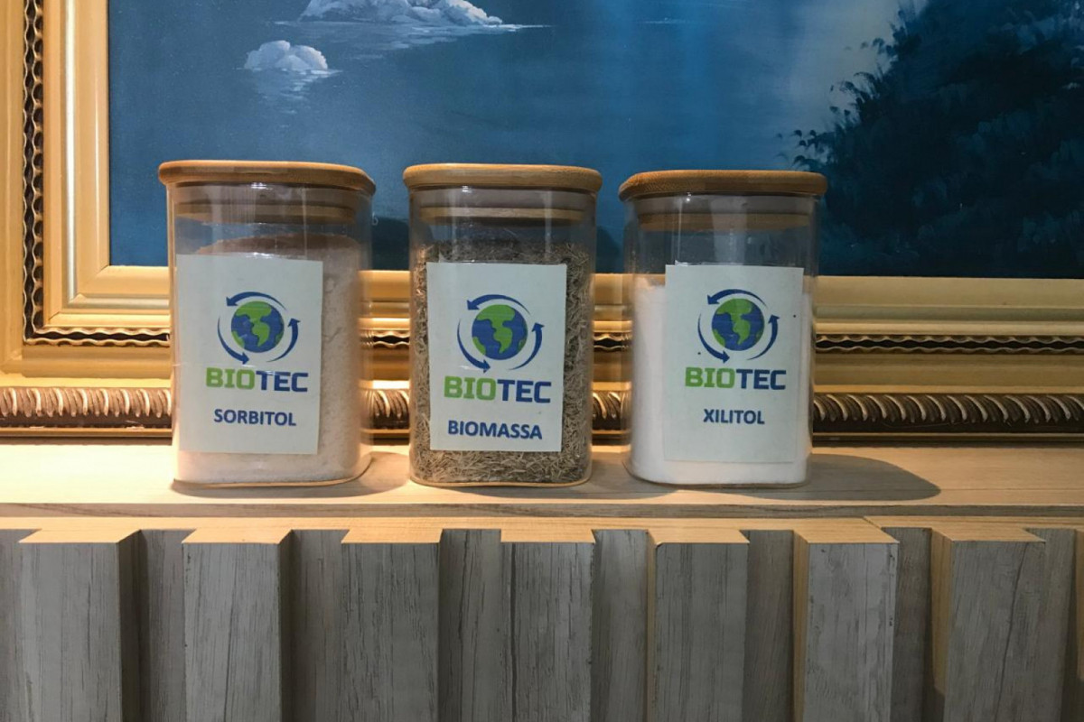 Cana de açúcar é transformada em lignina, xilitol e sorbitol/Foto: Arquivo pessoal Cana de açúcar é transformada em lignina, xilitol e sorbitol/Foto: Arquivo pessoal