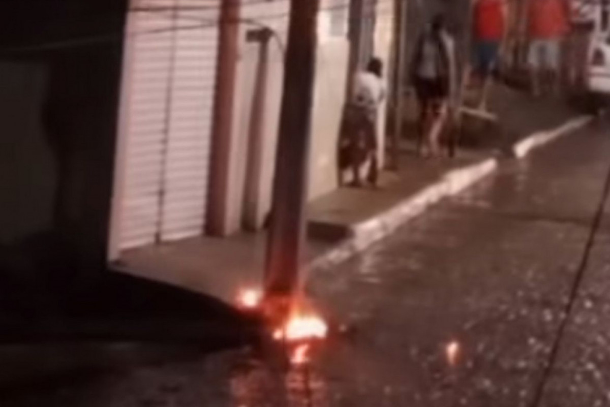 Caso chamou a atenção dos moradores do bairro