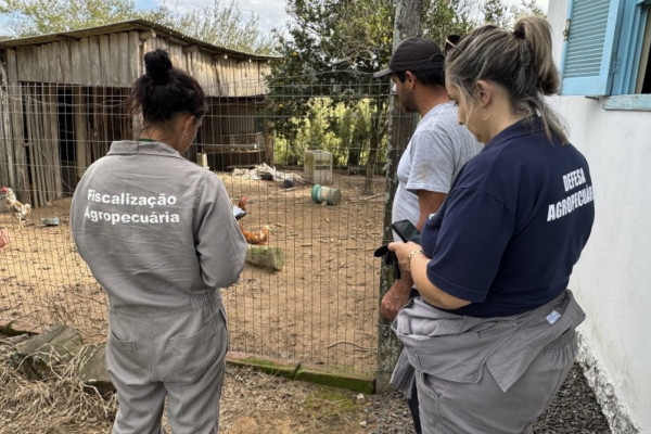 Foto: Ascom Seapi/Divulgação