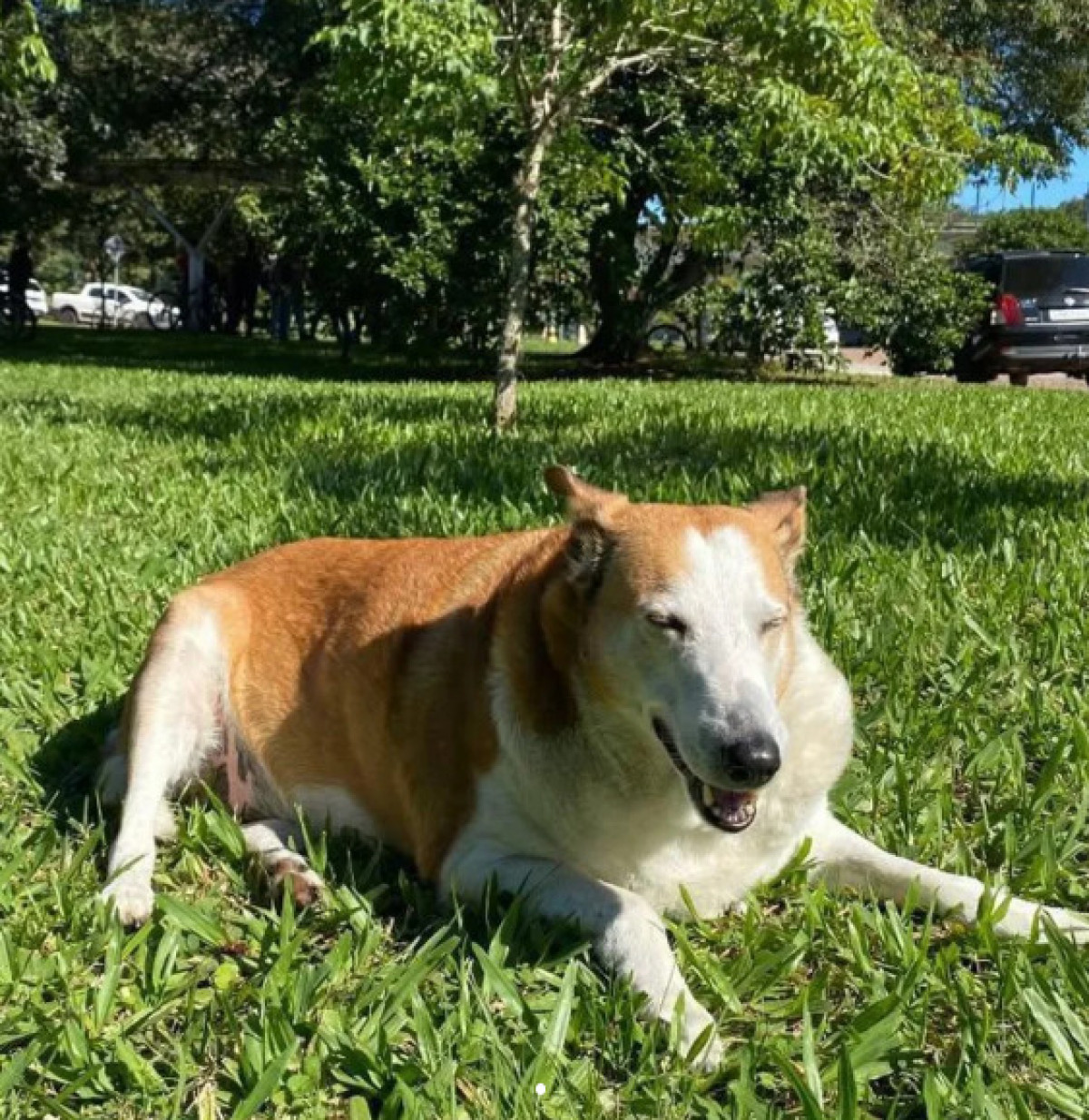 Reprodução/Instagram @silveirapodrao