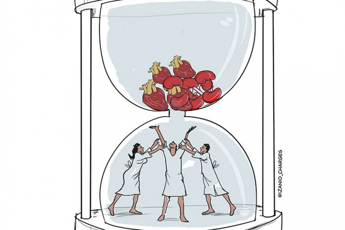 (Charge: Izanio Façanha) /Charge: Izanio Façanha
