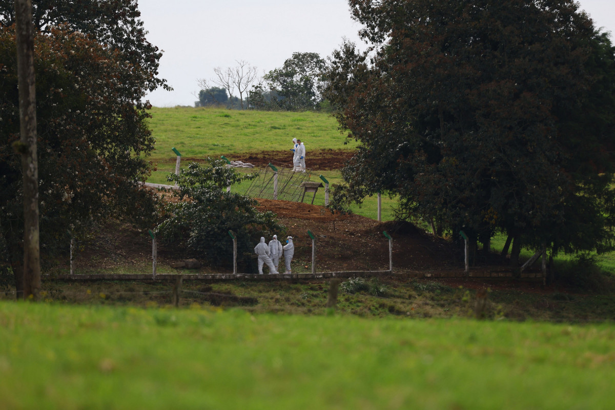 Trabalhadores usam roupa de proteção em granja onde foi detectado foco de gripe aviária (SILVIO AVILA/AFP) Trabalhadores usam roupa de proteção em granja onde foi detectado foco de gripe aviária/SILVIO AVILA/AFP