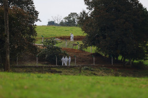 Trabalhadores usam roupa de proteção em granja onde foi detectado foco de gripe aviária