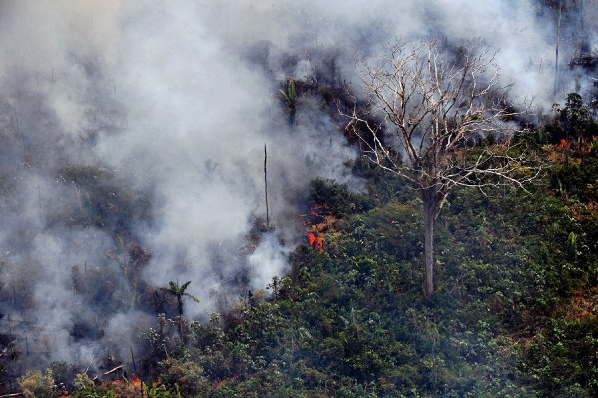 Incêndio florestal em Rondônia (Carl de Souza/AFP) Incêndio florestal em Rondônia/Carl de Souza/AFP