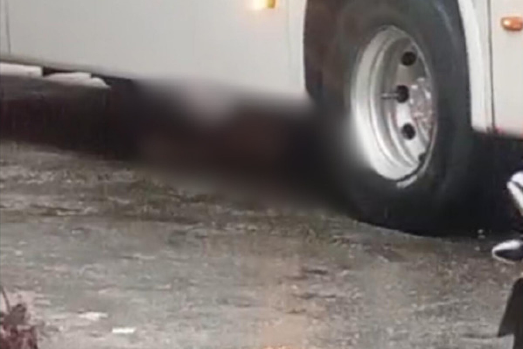 O atropelamento aconteceu por volta das 6h30 da manhã desta quarta (21)