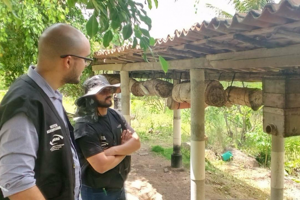 Prazo foi estendido para o dia 30 de junho/Foto: Divulgação