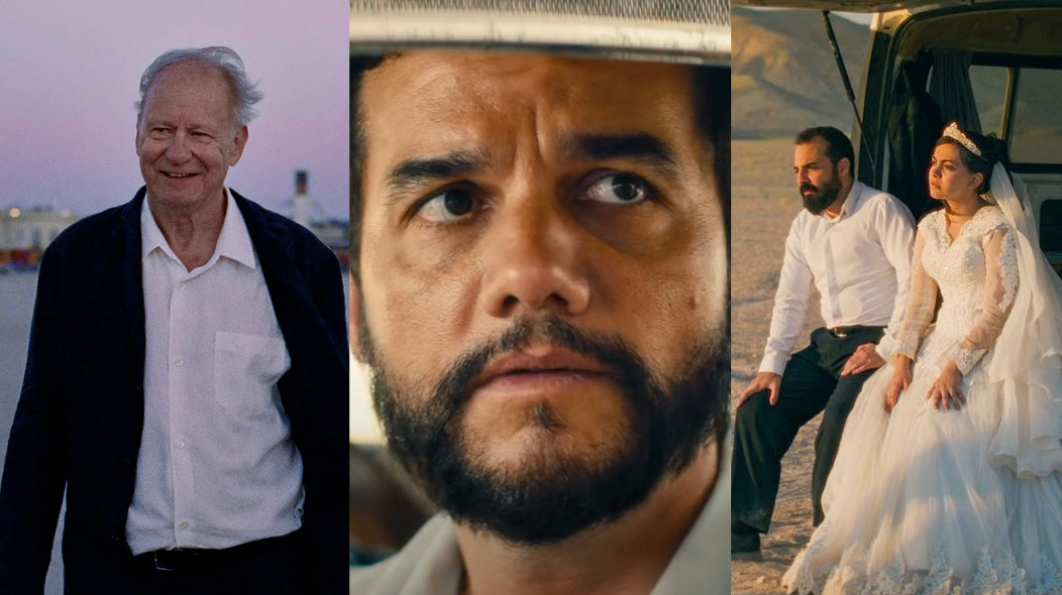 Neon/Vitrine (Divulgação)