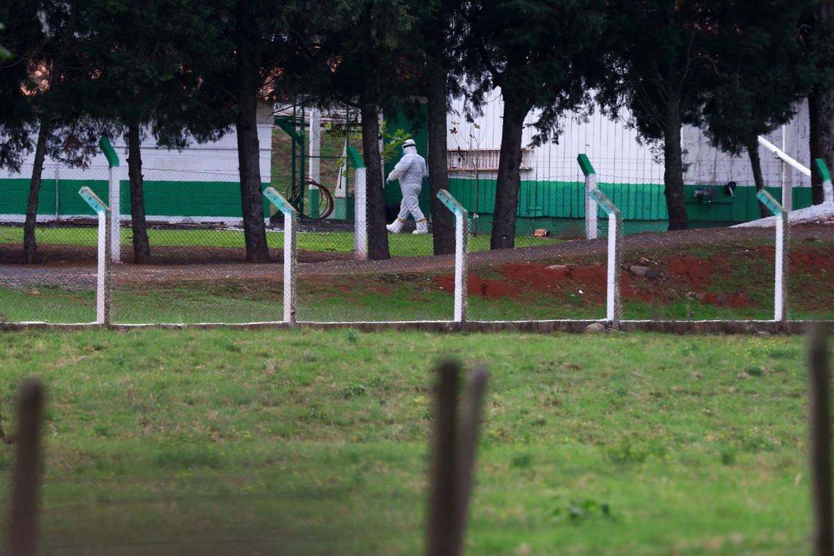 Montenegro, Rio Grande do Sul
/SILVIO AVILA/AFP