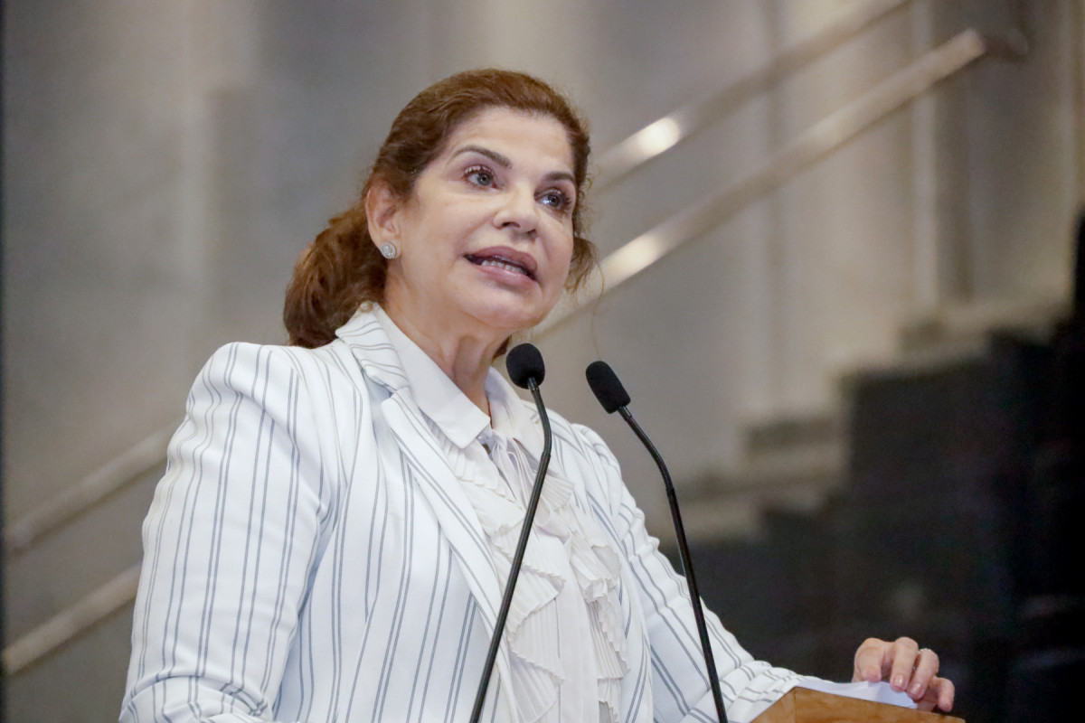 Líder do governo, deputada Socorro Pimentel defendeu estratégia de obstruir a sessão plenária e reforçou necessidade de diálogo