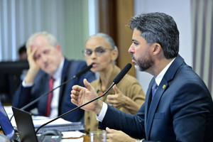 Comissão de Serviços de Infraestrutura (CI) recebe a ministra de Estado do Meio Ambiente e Mudança do Clima