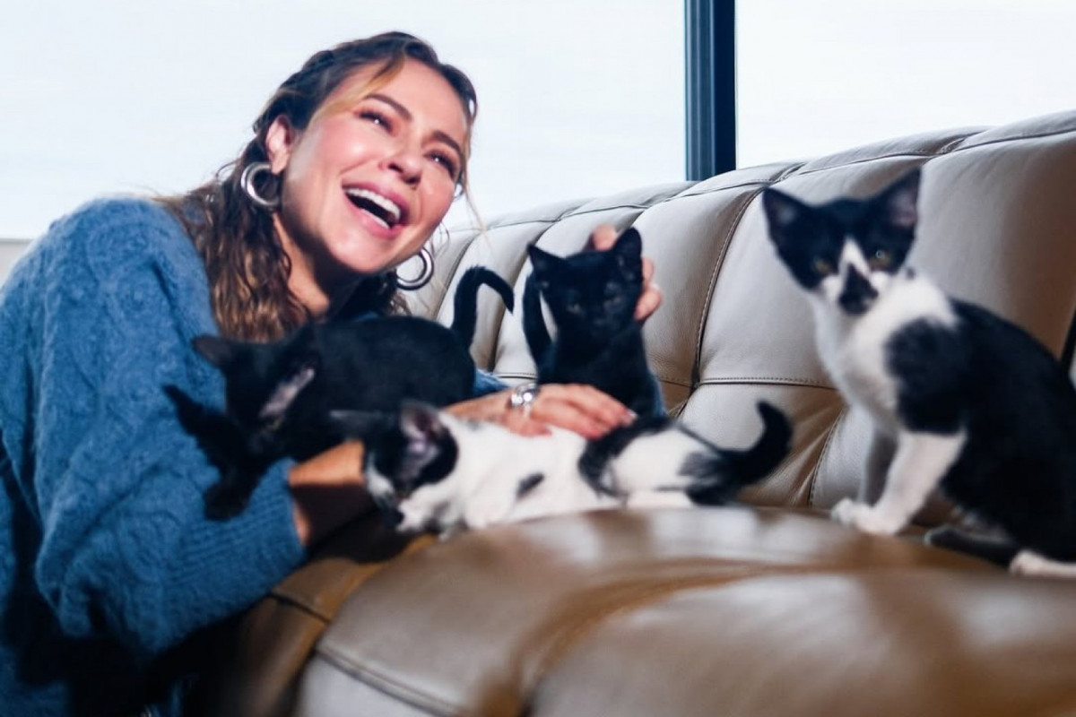 Atriz Paolla Oliveira mostrou seus novos pets/paollaoliveirareal via Instagram