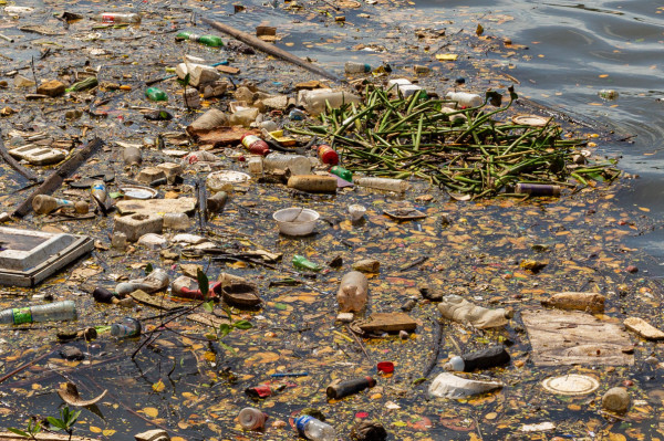 Rio Capibaribe tomado pelo lixo