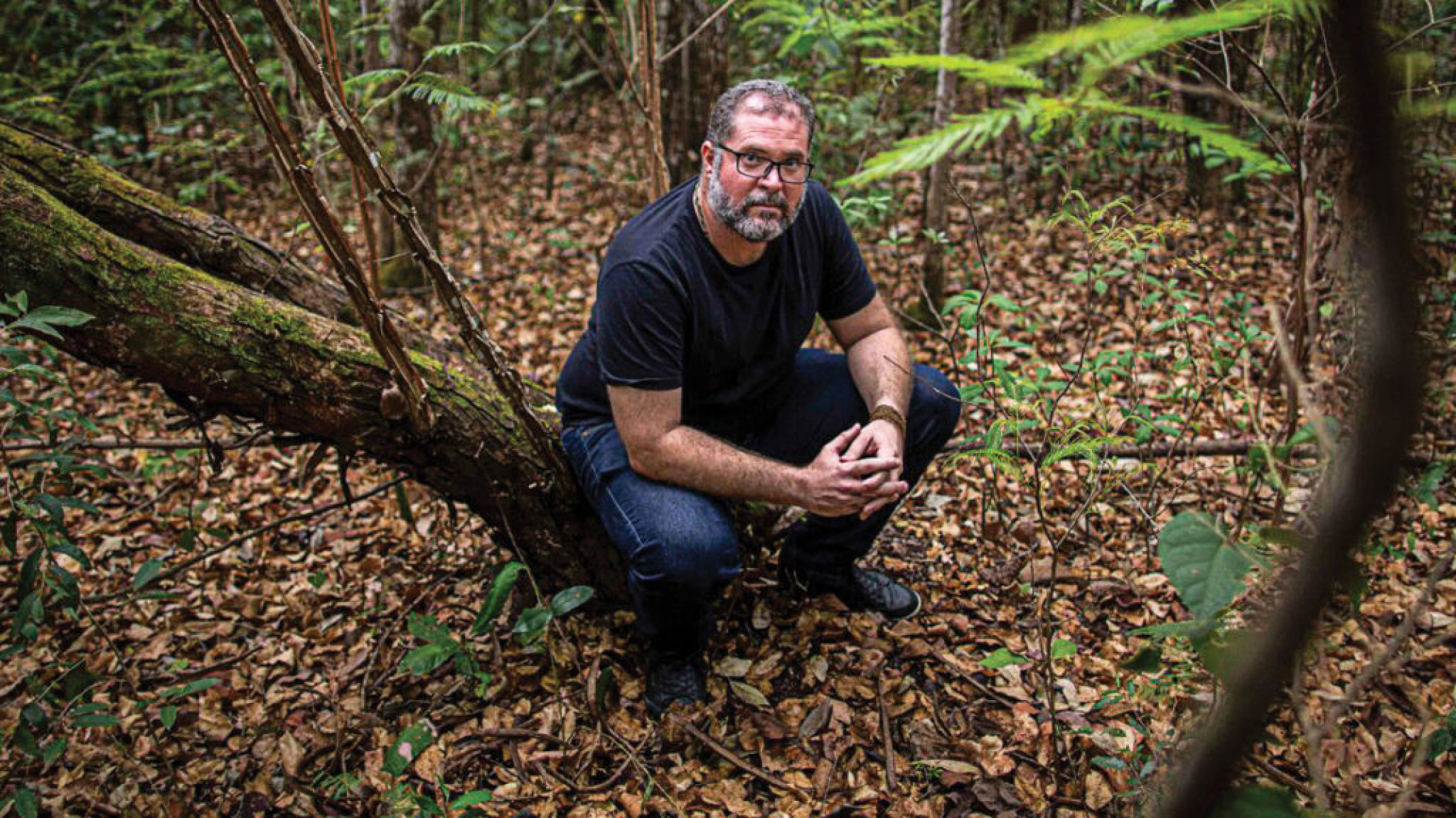 Bruno Pereira