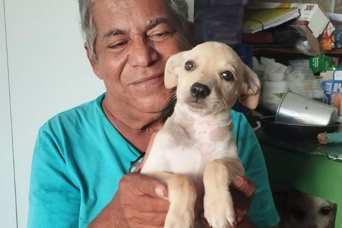 Mais de 500 animais já passaram pelo abrigo/Foto: Reprodução/Instagram