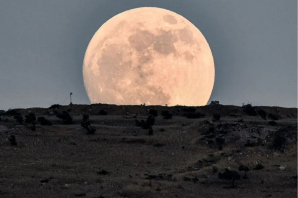 Rami al SAYED / AFP