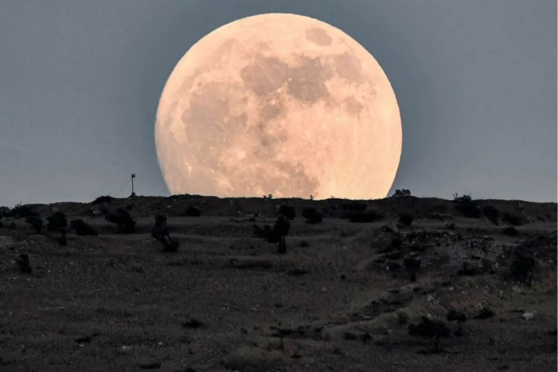 Rami al SAYED / AFP