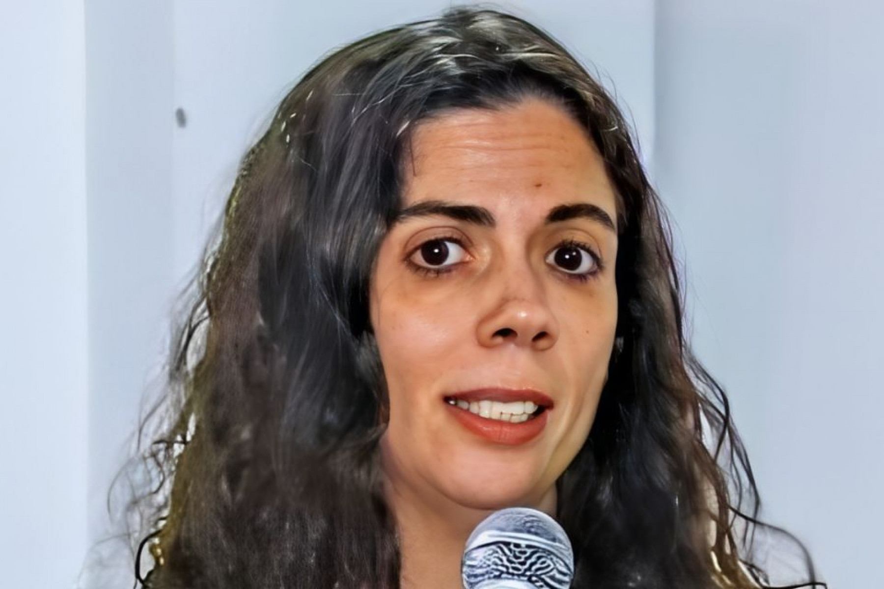 Fernanda Estelita Lins, IBGE
