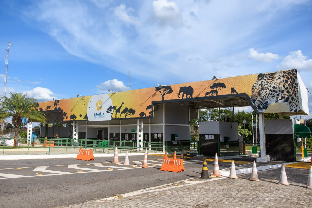 Zoológico de Brasília (KEBEC NOGUEIRA/METRÓPOLES @kebecfotografo) Zoológico de Brasília/KEBEC NOGUEIRA/METRÓPOLES @kebecfotografo