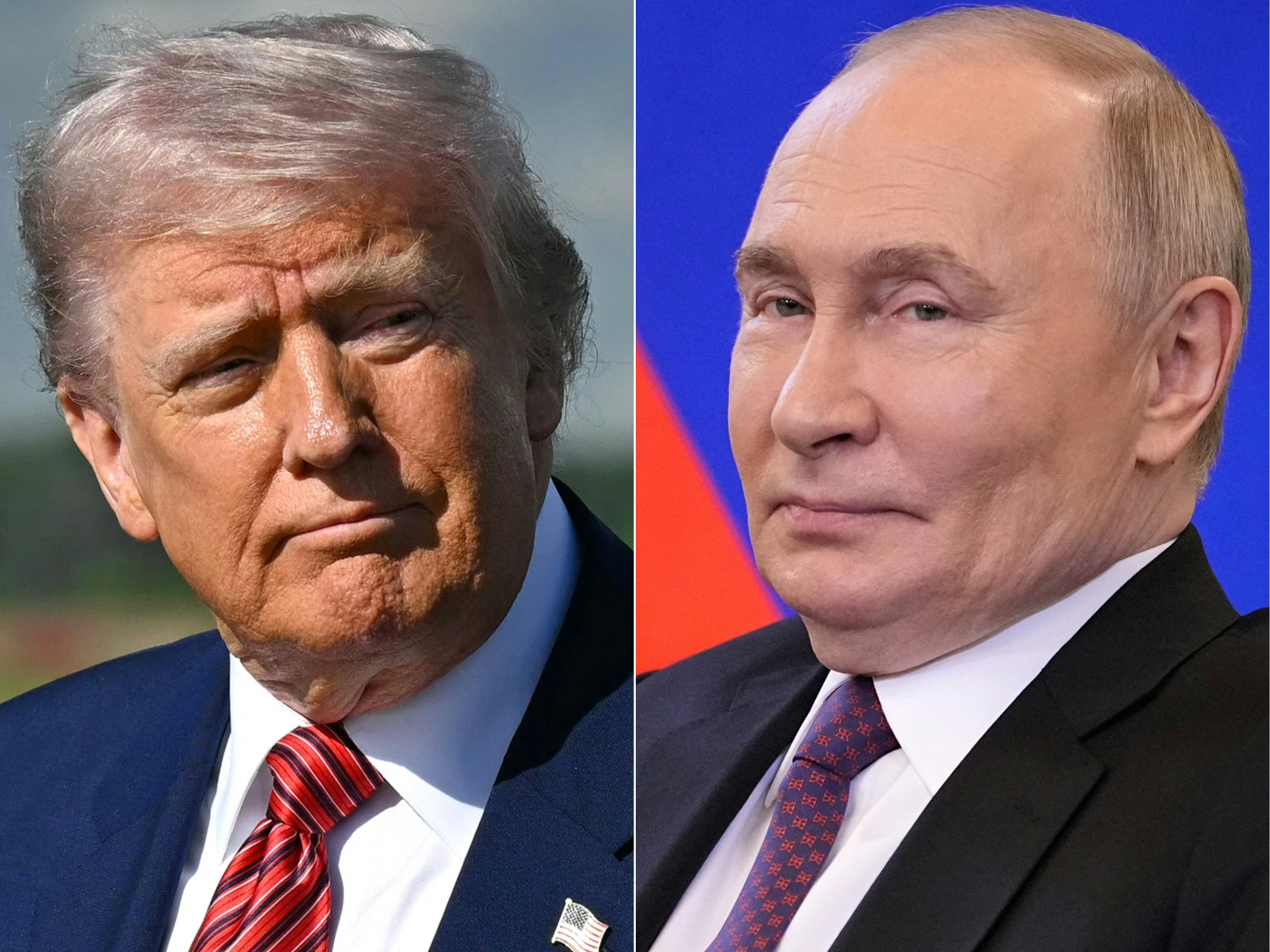 SAUL LOEB;PAVEL BEDNYAKOV/AFP