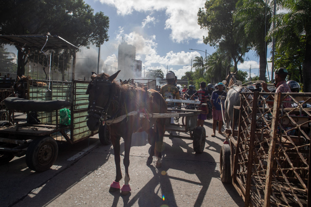 Protestos simultâneos dos carroceiros param várias avenidas do Recife
