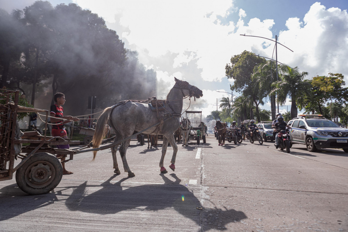 Protestos simultâneos dos carroceiros param várias avenidas do Recife
(Foto: Rafael Vieira) Protestos simultâneos dos carroceiros param várias avenidas do Recife
/Foto: Rafael Vieira