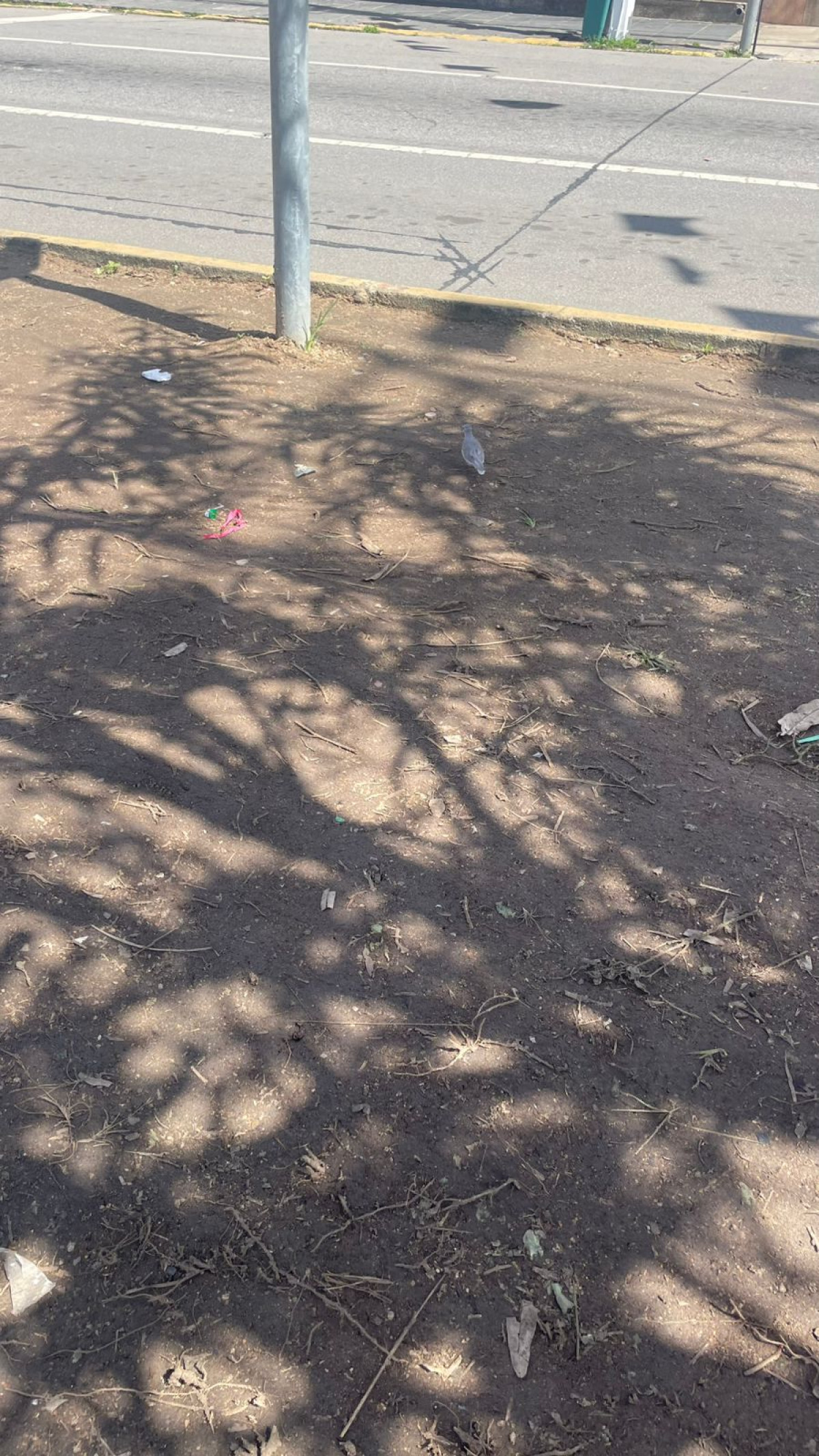 Moradores associação remoção à realização da drilha junina da prefeitura