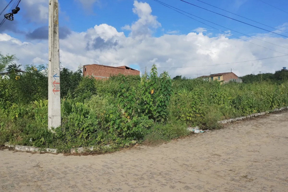 Fanílias aceitaram deixar as casas irregulares de forma voluntária (Foto: Reprodução/Google Sreet View) Fanílias aceitaram deixar as casas irregulares de forma voluntária/Foto: Reprodução/Google Sreet View