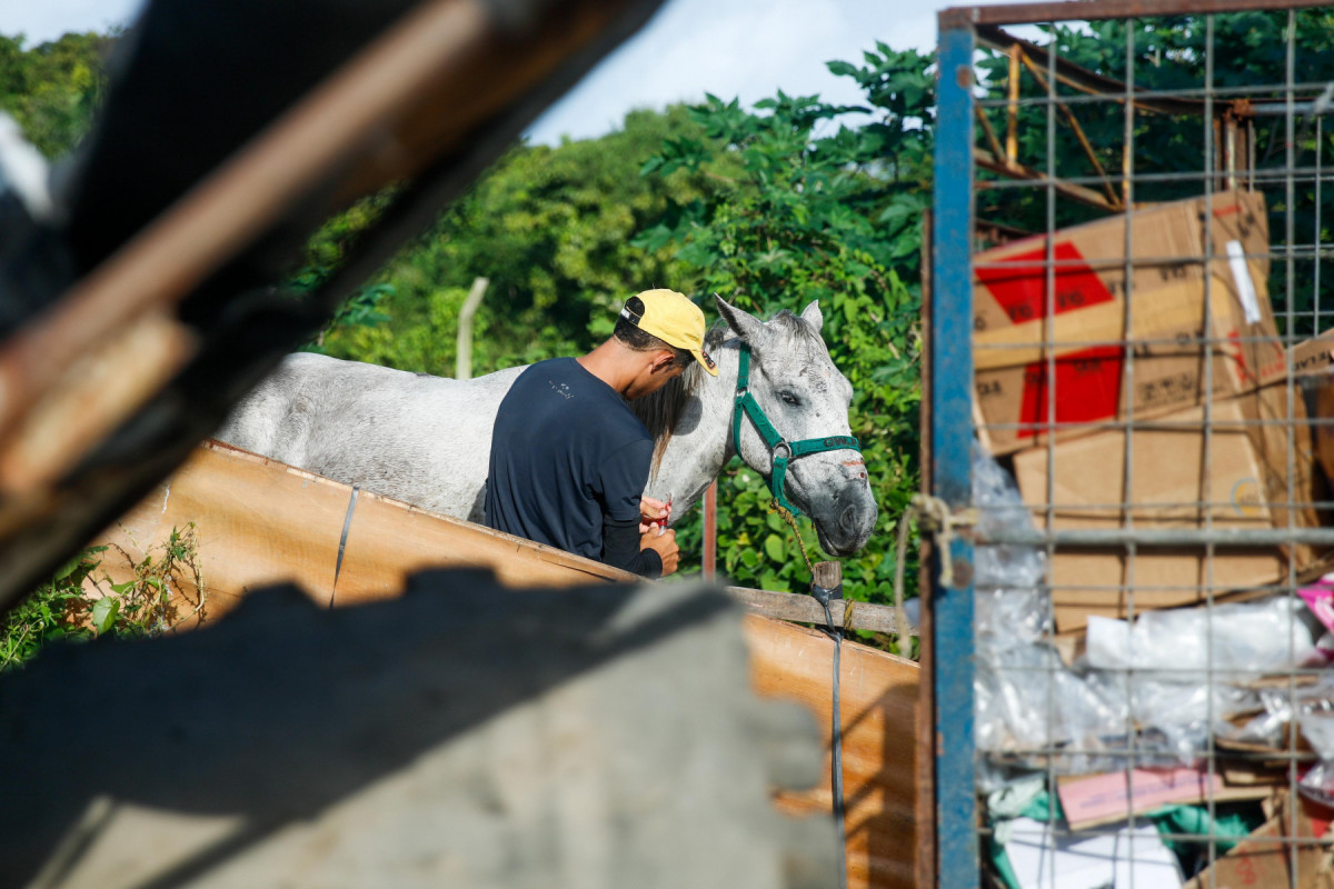 Pauta sobre perfil de carroceiros. 19/06/2025.