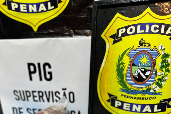Peça de carne recheada com crack foi interceptada em presídio (Divulgação ) Peça de carne recheada com crack foi interceptada em presídio /Divulgação