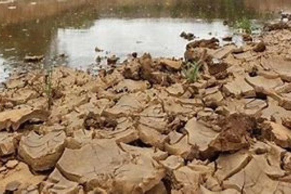 Desde o início do ano o MIDR vem sendo alertado sobre situação de estiagem em municípios de Pernambuco (Foto: Annaclarice Almeida/DP/D.A Press)