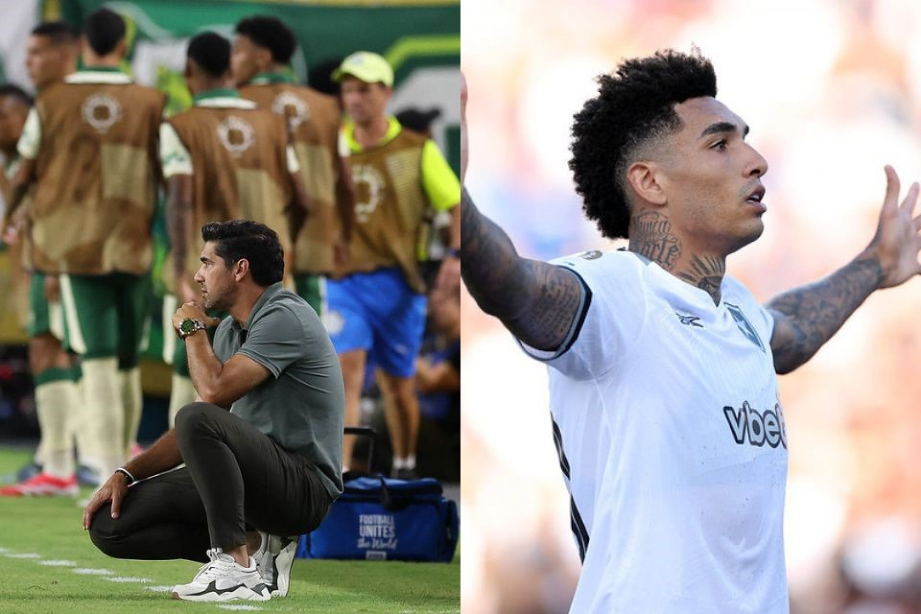 Vítor Silva/Botafogo / Cesar Greco/Palmeiras