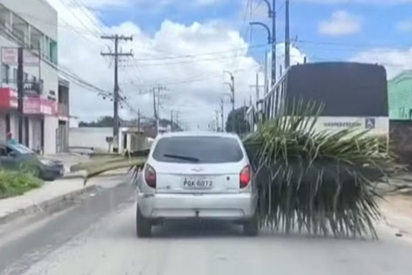 Reprodução/Redes Sociais