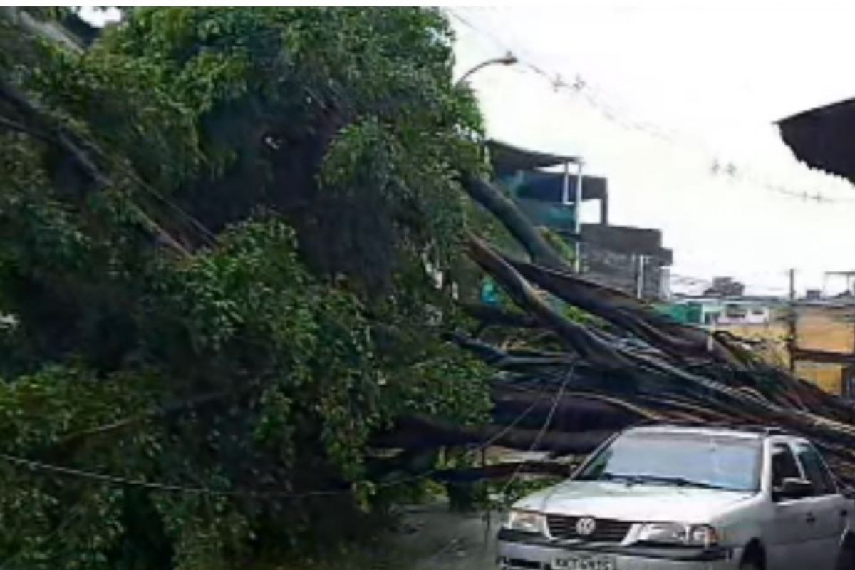 Agentes da Autarquia de Trânsito e Transporte (CTTU) estão no local para orientar o trânsito
/Foto: Reprodução / Redes sociais