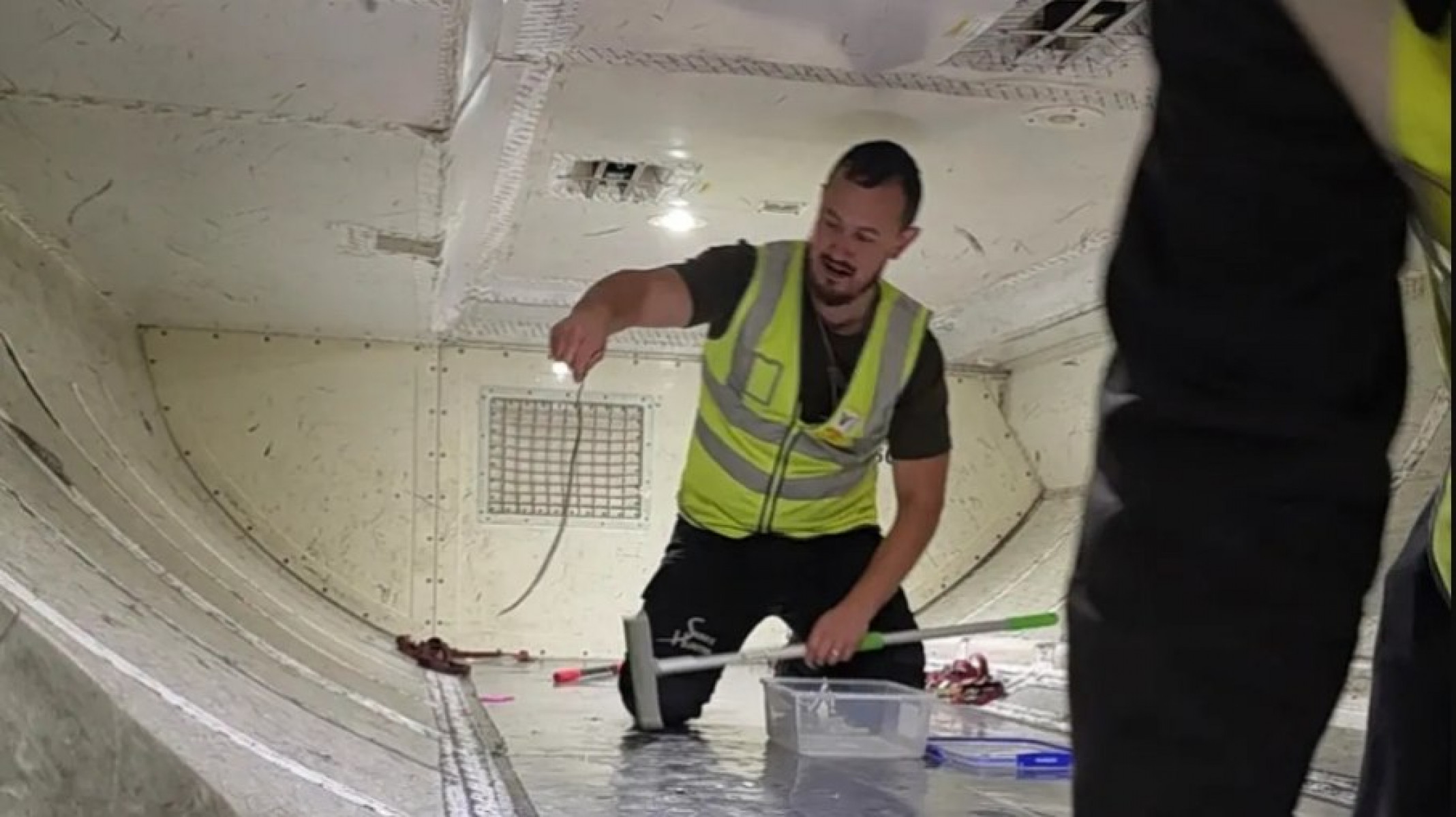 A cobra foi encontrada em porão de avião na Austrália  