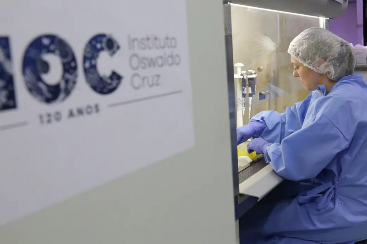 Nas últimas quatro semanas epidemiológicas, o índice de casos positivos foi de 33,4% de influenza A, 1,1% de influenza B, 47,7% de vírus sincicial respiratório, 20,6% de rinovírus e 1,8% de Sars-CoV-2 (covid-19) (Foto: DIVULGAÇÃO/JOSUÉ DAMACENA (IOC/FIOCRUZ) Nas últimas quatro semanas epidemiológicas, o índice de casos positivos foi de 33,4% de influenza A, 1,1% de influenza B, 47,7% de vírus sincicial respiratório, 20,6% de rinovírus e 1,8% de Sars-CoV-2 (covid-19)/Foto: DIVULGAÇÃO/JOSUÉ DAMACENA (IOC/FIOCRUZ