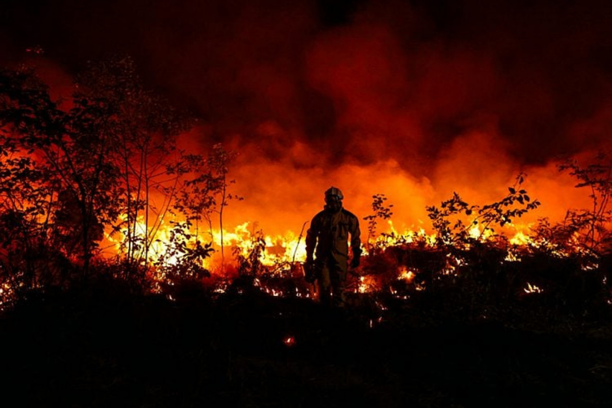 Europa enfrenta calor e seca extrema além de incêndios