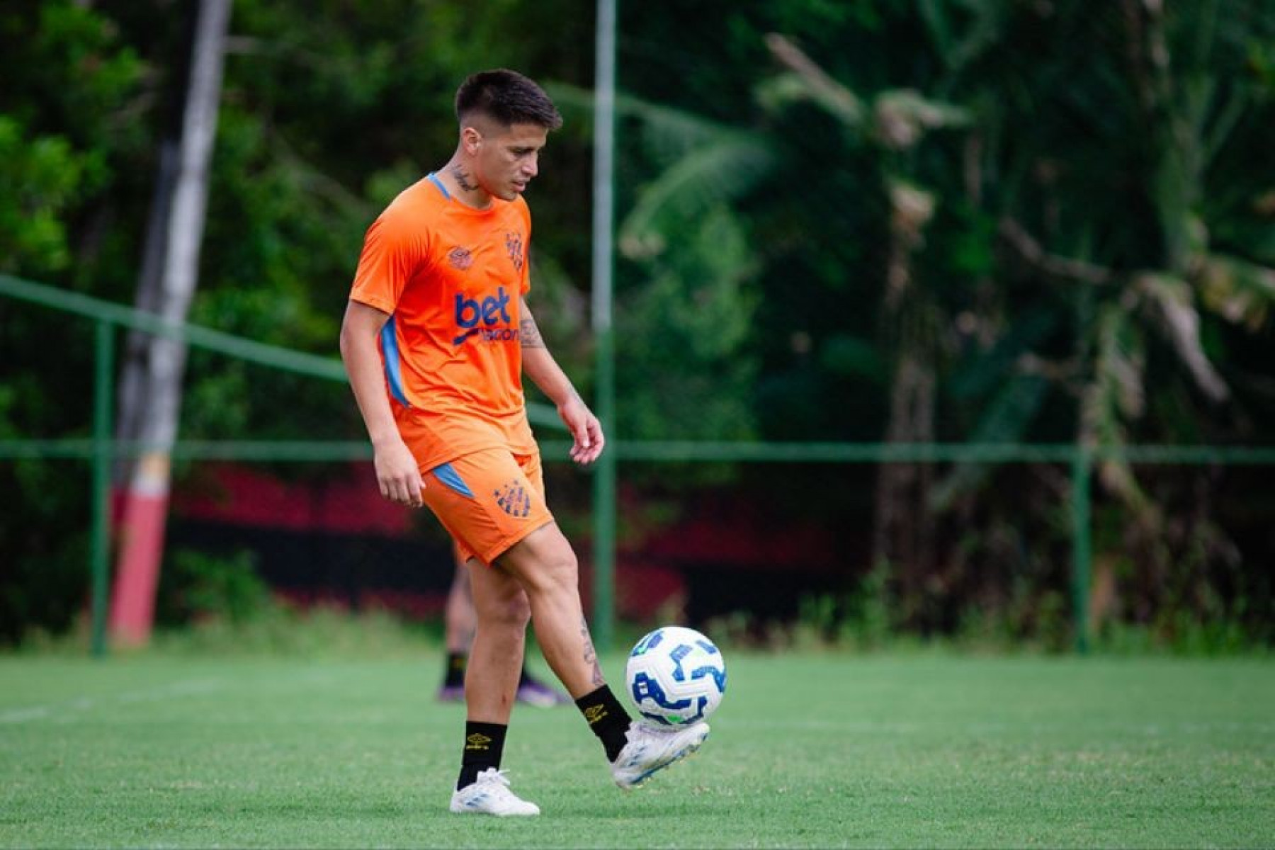 Paulo Paiva/ Sport Recife