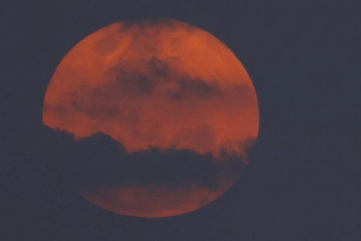 A Lua do veado recebe este nome por ter relação com o mês de julho (Foto: Igo Estrela/Divulgação) A Lua do veado recebe este nome por ter relação com o mês de julho/Foto: Igo Estrela/Divulgação