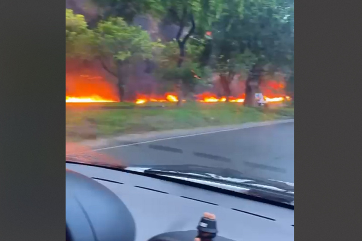 Imagens de pessoas que trafegavam no sentido oposto da BR/REPRODUÇÃO/REDE SOCIAL