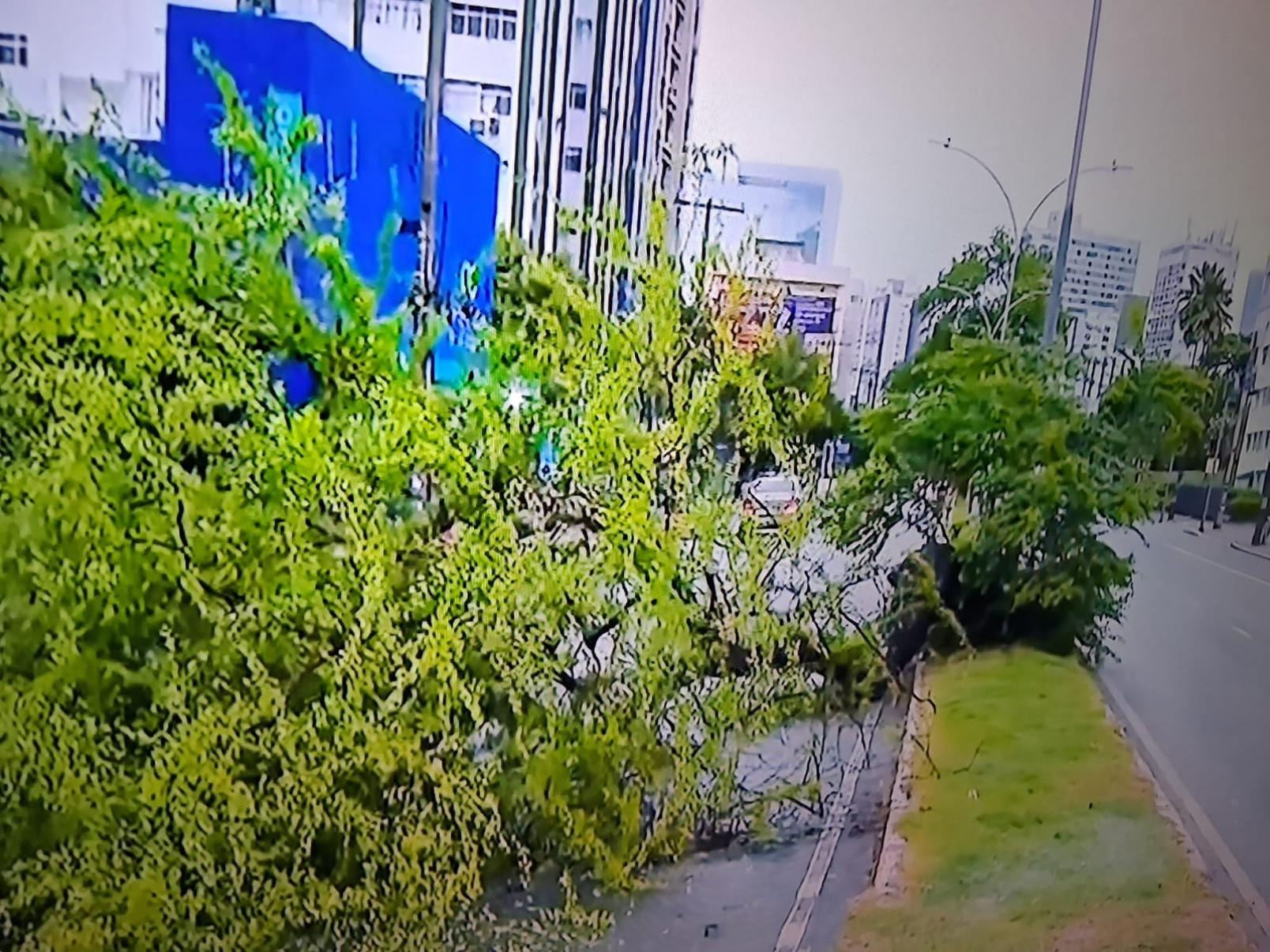 Reprodução/TV Globo 